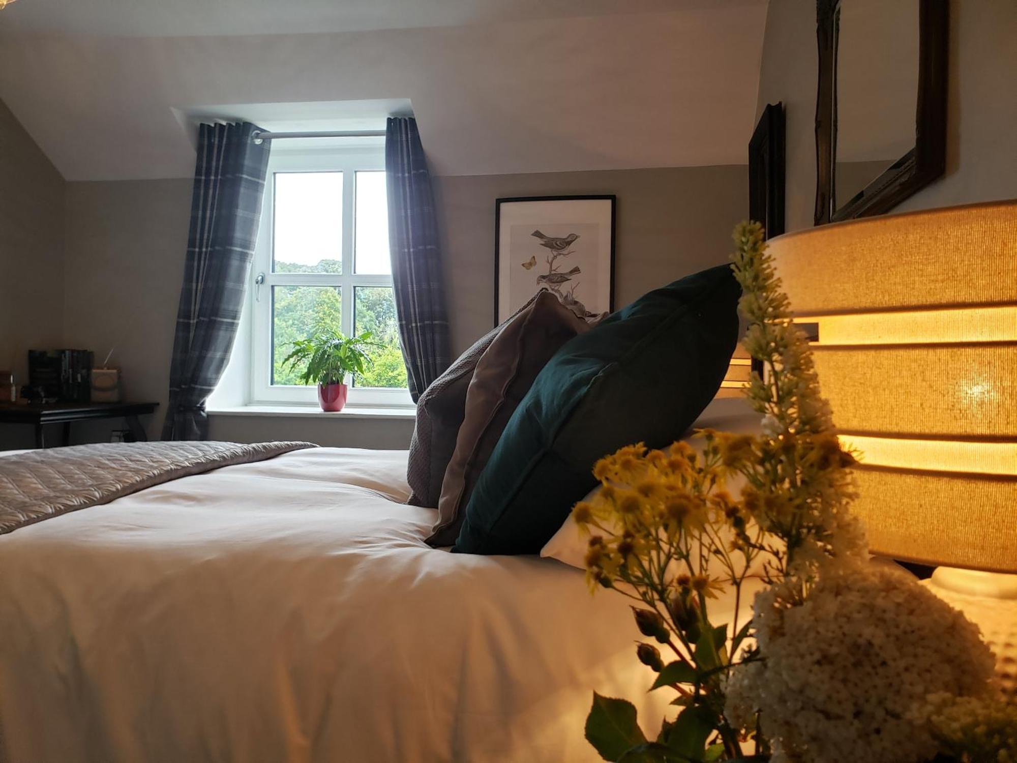 Bryansford Cottage Extérieur photo