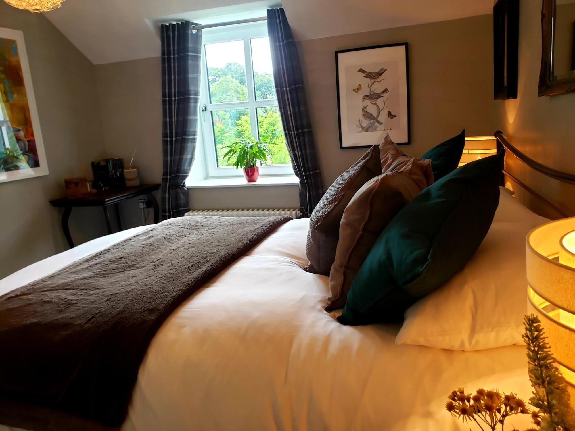 Bryansford Cottage Extérieur photo